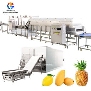 <span class=keywords><strong>Machine</strong></span> de lavage, de blanchiment, de congélation et de séchage des fruits et légumes pour les produits sucrés et les céréales, en acier inoxydable 304, capacité de 1,5 t/h - Product Image 1