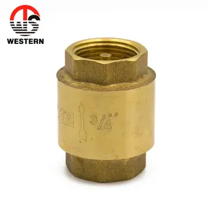 Chinese Manufacturer Light Weight Model Brass Vertical Spring High Pressure Check Valve for Toilet