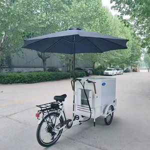 Carrito Eléctrico para Venta de Comida Callejera, Helados y Bebidas, Máquina Expendedora de Café, con Cámara Frigorífica de 200L - Product Image 1