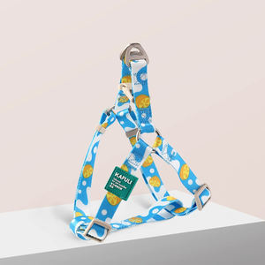 Benutzer definiertes Logo Luxus Hunde geschirr Set Pet Walk Kit Wasserdichtes Polyester Solid Pattern Verstellbares Halsband mit weicher Leine - Product Image 6