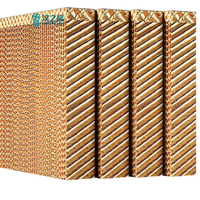 Prix direct usine 5090 Coussin de refroidissement évaporatif alvéolé, rideau humide pour poulailler, ventilation d'élevage avicole