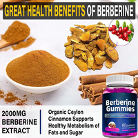Supplément Berbérine HCL Bonbons à la berbérine avec cannelle de Ceylan Soutien Santé cardiaque Gestion du corps et système immunitaire