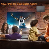 Qiyuntong Europese Amerikaanse binnenantenne van koolstofvezel voor digitale tv, DVB-T2 aardgolfontvanger, HDTV VHF/UHF, voor auto's, wandmontage