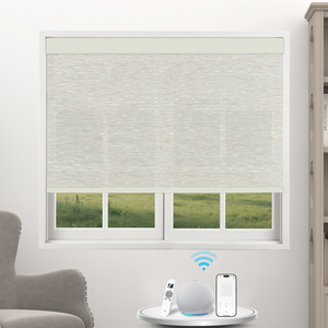 맞춤형 사이즈 100% 폴리에스터 전동 롤스크린 암막 블라인드, 자외선 차단 기능, 모던한 내장형 모터 옵션 - Product Image 2