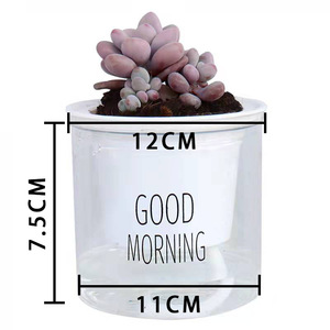 indoor plants plastic plant pot self watering pot flower clear pots for hydroponics plants Indoor Office