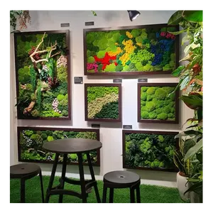 Cojín de musgo preservado de musgo, color verde natural, decorativo, verde  natural, kit de bricolaje, terrarios, jardinería, decoración de pared