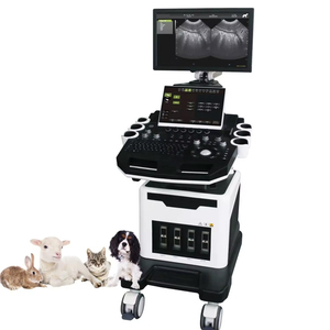 Scanner à ultrasons numérique Doppler intelligent avec sonde microconvexe pour usage vétérinaire - Product Image 1