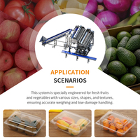 High-Speed Tomaat Weging & Box-Packing Systeem, Fruit Groente-Specifieke Weger, Verpakkingsmachine