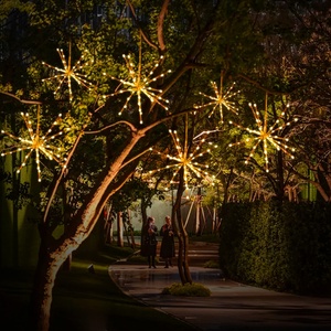 Tira de luces LED impermeables para exteriores de alta calidad, luces de ducha IP65, petardos de hadas de racimo de meteoritos de lluvia para vacaciones de Navidad - Product Image 3