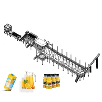 Ligne de traitement complète personnalisée des agrumes pour la fabrication de jus concentré, purée, écorces et huile