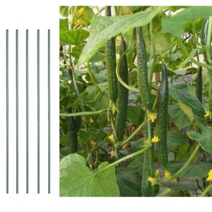 Garden accessory Metal Rust againest plastic coated plant pole stake support for climbing plants