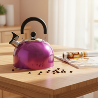 Bouilloire sifflante classique en acier inoxydable 2/3/4/5L pour la cuisine et la maison, avec poignée en plastique