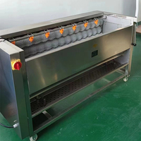 RVS hogecapaciteitsmachine voor het wassen en schillen van Ierse cassave, zoete aardappel, wortel, gember en kurkuma