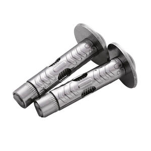 201/304/316 bullone di ancoraggio di azionamento a martello In acciaio inossidabile esterno esteso tipo di espansione Drop-In - Product Image 3