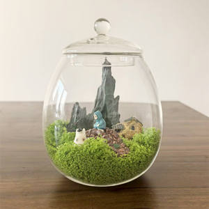 Terrario in Vetro da Tavolo con Coperchio in Sughero, Mini Vaso Decorativo per <span class=keywords><strong>Piante</strong></span> di Muschio e Fiori, Centrotavola - Product Image 1