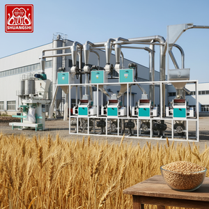 Moulin à <span class=keywords><strong>farine</strong></span> <span class=keywords><strong>de</strong></span> <span class=keywords><strong>blé</strong></span> automatique complet <span class=keywords><strong>de</strong></span> 30 TPD, capacité élevée <span class=keywords><strong>de</strong></span> 1t/h, automatisé, à vendre - Product Image 1