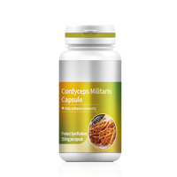 Capsules de Cordyceps Militaris Changxing en marque privée OEM, 350 mg, complément immunitaire