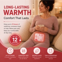 Patch menstruel hydrocolloïde chauffant aux herbes, best-seller |   100% Naturel Pur |   Soulagement des crampes et des douleurs abdominales |   OEM/ODM Marque privée