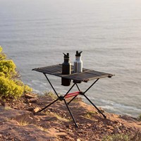 Table de camping moderne ultralégère, table de randonnée portable avec sac de transport et porte-gobelet, mobilier d'extérieur pliable en maille
