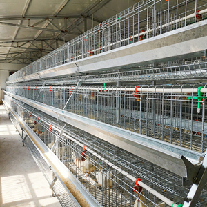 Nhà Máy bán hàng trực tiếp gia cầm trang trại lớp Lồng trứng tự động Bộ sưu tập thiết bị - Product Image 3