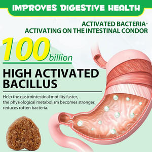 Marque privée/Logo Suppléments de soins de santé pour animaux de compagnie Probiotic Immune Soft Chews pour aider à maintenir une bonne flore intestinale et Ph - Product Image 5