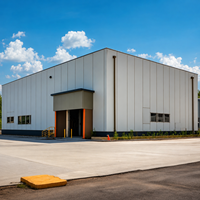 Fabricant d'entrepôts à structure métallique, entrepôt préfabriqué en acier à haut plafond pour la logistique, le stockage et la manutention de palettes