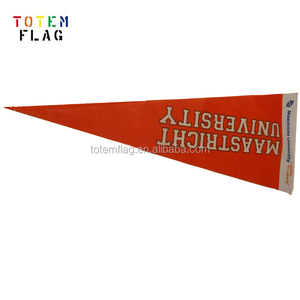 定制毛毡三角旗，多色数码印刷，用于大学庆典活动，定制毛毡三角旗 - Product Image 6