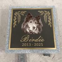 Pierre tombale personnalisée Samistone en bronze et granit moderne pour animaux de compagnie, plaque commémorative gravée au laser avec photo de chien, pour cimetière extérieur