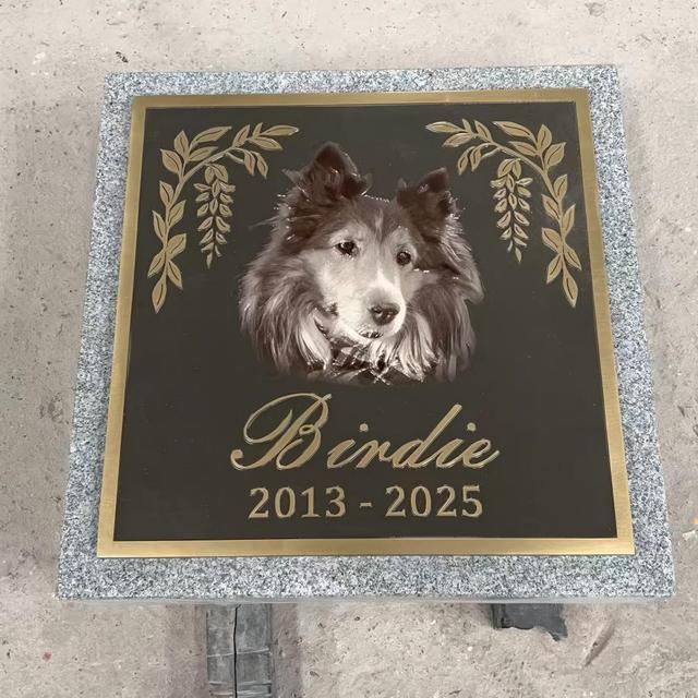 Samistone Custom Modern Bronze Granite Pet Grave Marker Personalized Dog Photo Laser Engraved Memorial Plaque Outdoor Cemetery