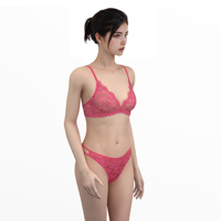 Soutien-gorge et slip en dentelle pour femmes Lingerie Factory Soft Cup Sheer Bra Panties Set Sexy Lace Transparent Ladies Bra