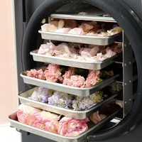 110V 6kg/uur Huishoudelijke Vriesdroogmachine Automatische Vacuümvriezer Eenvoudige bediening voor fruit