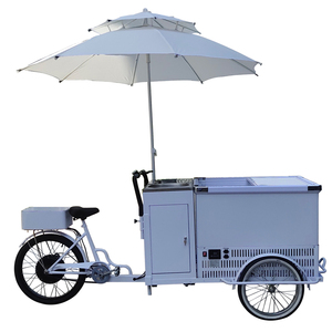 Carrito Congelador de Helados, Vitrina Congeladora de Helados en Venta - Product Image 2