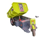 Tricycle électrique/tricycle trois roues mini camion à benne basculante pour la cargaison/cargaison de 3 roues pour toutes les routes ou utilisation de maison de ferme d'usine