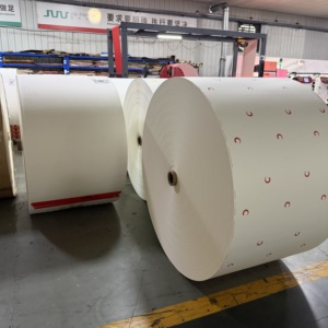 Rouleau de papier couché PE de qualité alimentaire, haute rigidité, imperméable, poids personnalisé, pour l'emballage alimentaire en usine - Product Image 5