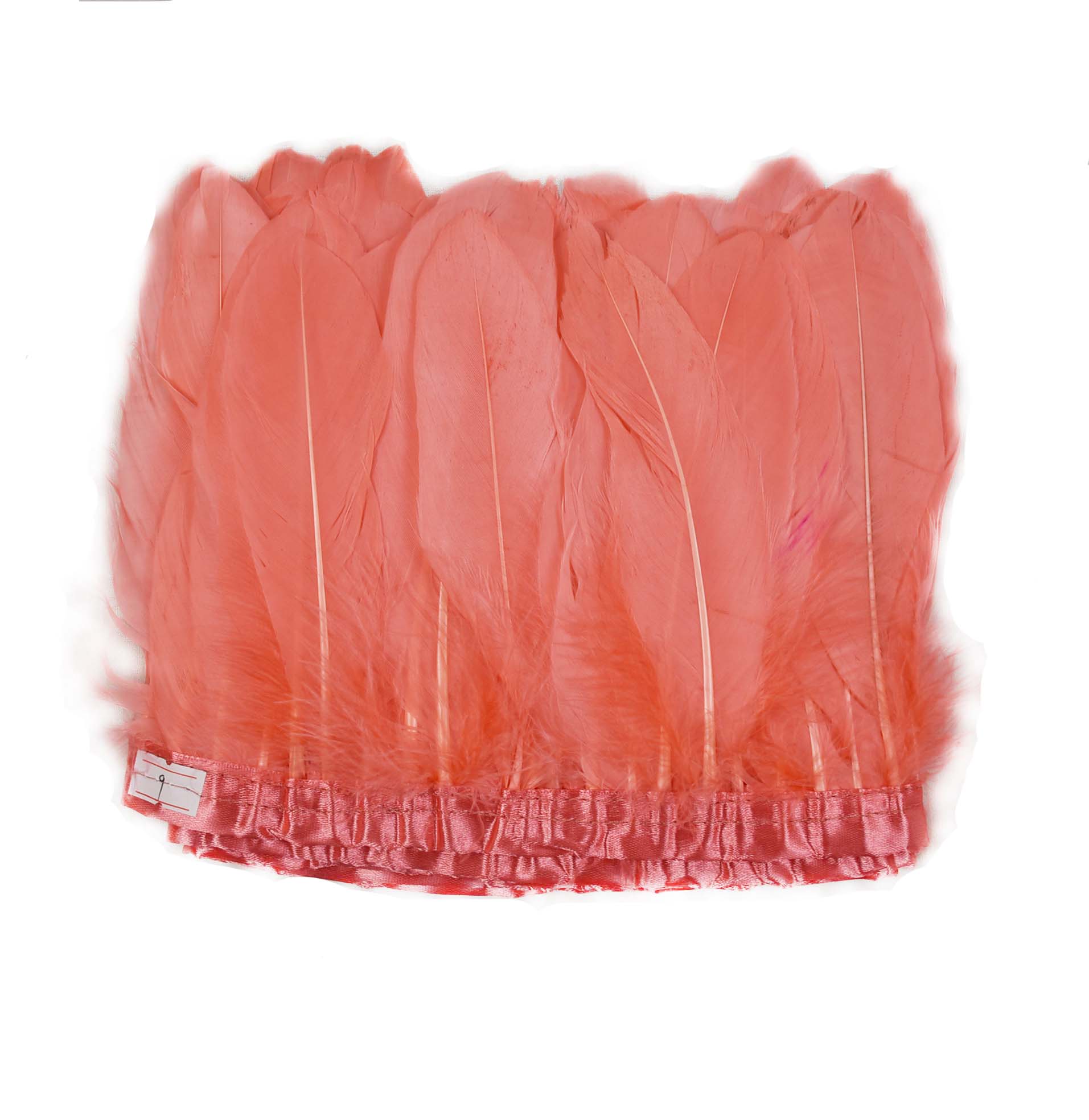 pastèque
