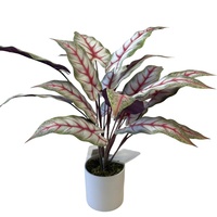 Plantes artificielles en feuilles de caladium à toucher réel, en pot, en plastique et en soie, durée de vie de 8 à 10 ans, décoration d'intérieur, directement de l'usine