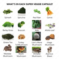 Complément Alimentaire en Capsules de Fruits et Légumes à Marque Blanche OEM en Gros pour l'Équilibre Nutritionnel et les Fibres Alimentaires