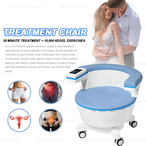Silla de Reparación del Suelo Pélvico Nueva a Precio de Fábrica, Entrenador para Tratamientos en Salones de Belleza y Uso Doméstico - Product Image 1