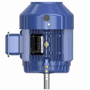 มอเตอร์ซิงโครนัสสามเฟส Leeson รุ่น 184TTFCD6026CB สำหรับอุปกรณ์เครื่องจักรกล ประเทศสหรัฐอเมริกา - Product Image 4