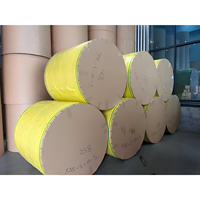 Papier enduit de résine avec des propriétés antistatiques sûres pour une utilisation fluide dans les installations agricoles