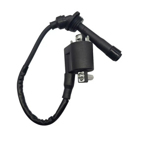Bobine d'allumage Jilong 3047 monocylindre pour moto Benelli 250 Cyclic N30, pièce de rechange - Product Image 1