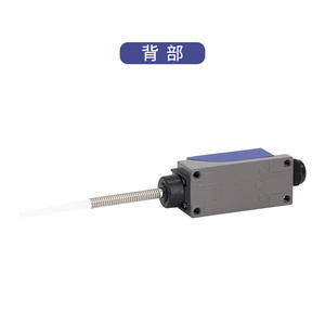 Micro-interrupteur à bascule à réinitialisation automatique CNTD/Changde Electric CZ-8166N - Product Image 2