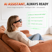 Gafas Inteligentes con Modos Monoculares, Pantalla de Guía de Ondas, Traducción en Tiempo Real, Asistente de IA y GPS para Viajes y Negocios