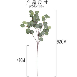 Bouquet de feuilles d'eucalyptus Tainen 30cm-100cm, fleurs artificielles en soie pour mariage et décoration intérieure - Product Image 5