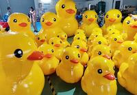Canard gonflable géant d'extérieur en PVC de 0,6 mm étanche Canard gonflable jaune populaire pour les événements