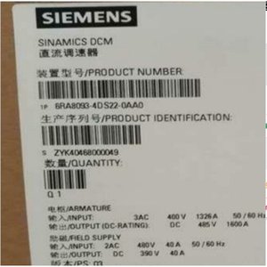 6RA8095 4GV62 0AA0/6RA8096 4GV62 0AA0/6RA8097 4GV62 0AA0 Variador SINAMICS DCM Sellado de Fábrica para Automatización - Product Image 6