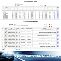 Premium Kalite Bulut Tabanlı GPS İzleme Platformu Web Sistemi 1 Yıl Garantili Otomotiv Kullanımı İçin Çoklu İşletim Sistemleriyle Uyumlu Google Haritalar
