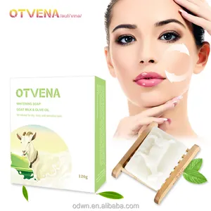 OEM/ODM otvena自有品牌天然安全芦荟泡沫洁面乳香皂