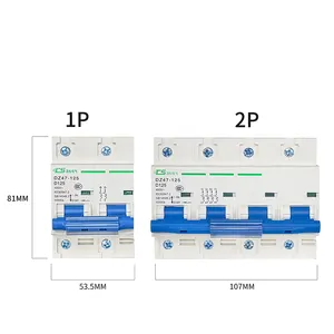 Changsong Small Circuit Breaker Dz47-63 Air Switch C45 Micro Household 1p2p3p4p Air Switch Micro-breaker C63