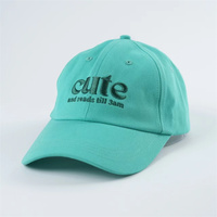 Op maat gemaakte 6-delige Oxford baseballcap zonder structuur met fruitmotief en aangepast geborduurd logo, 100% katoen